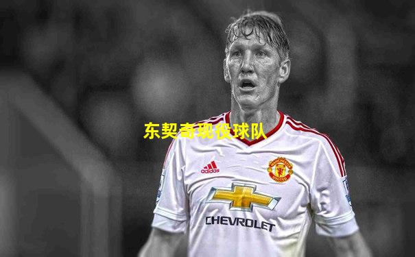 东契奇现役球队