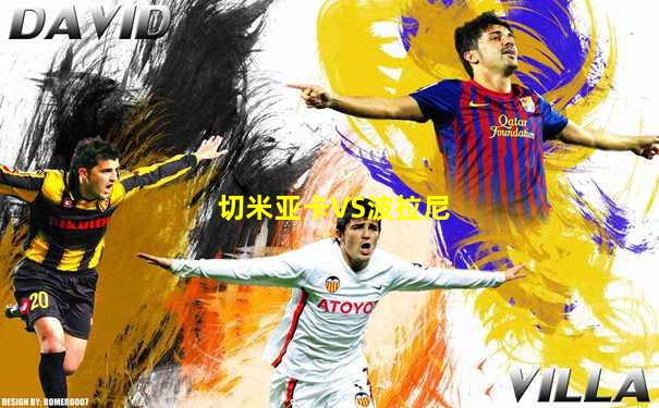 切米亚卡VS波拉尼