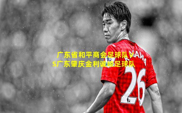 广东省和平商会足球队VS广东肇庆金利诚峻足球队