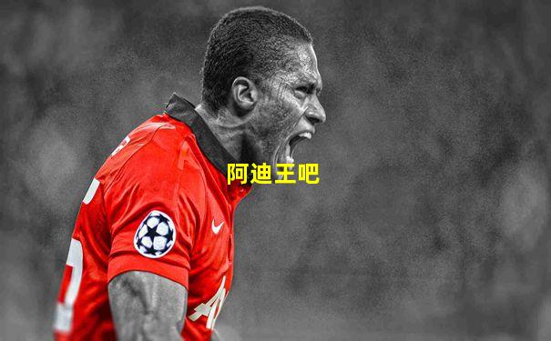 阿迪王吧