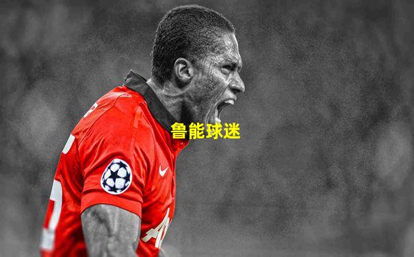 鲁能球迷